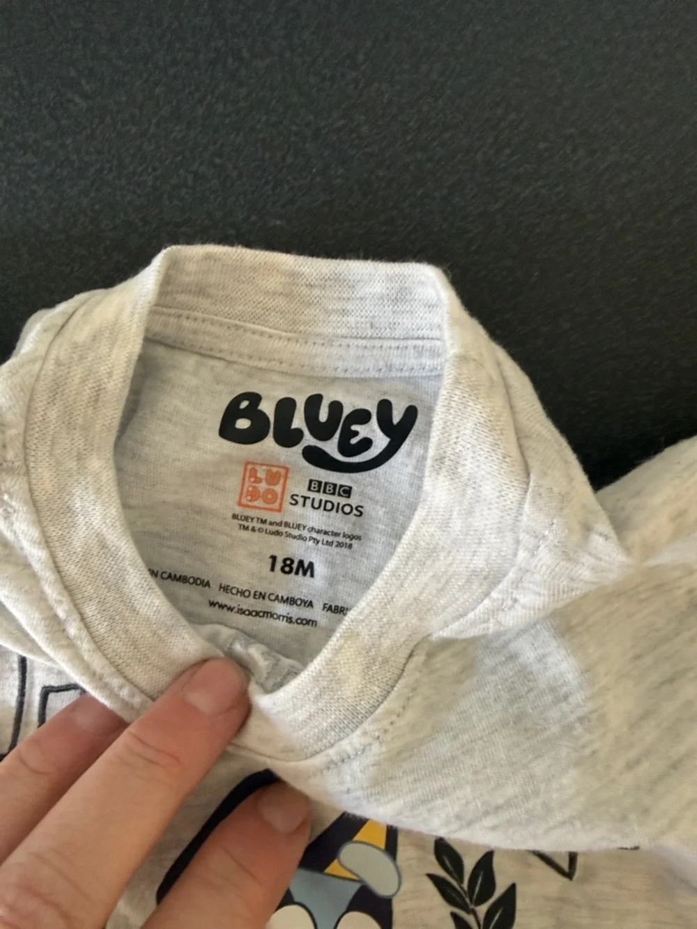 Kids' Bluey Graphic Tee - Light Gray